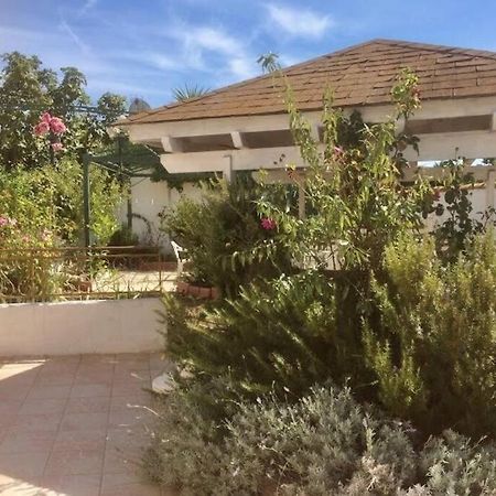 Superbe Appartement En Residence Avec Patio Villeneuve-lès-Maguelonne Eksteriør bilde