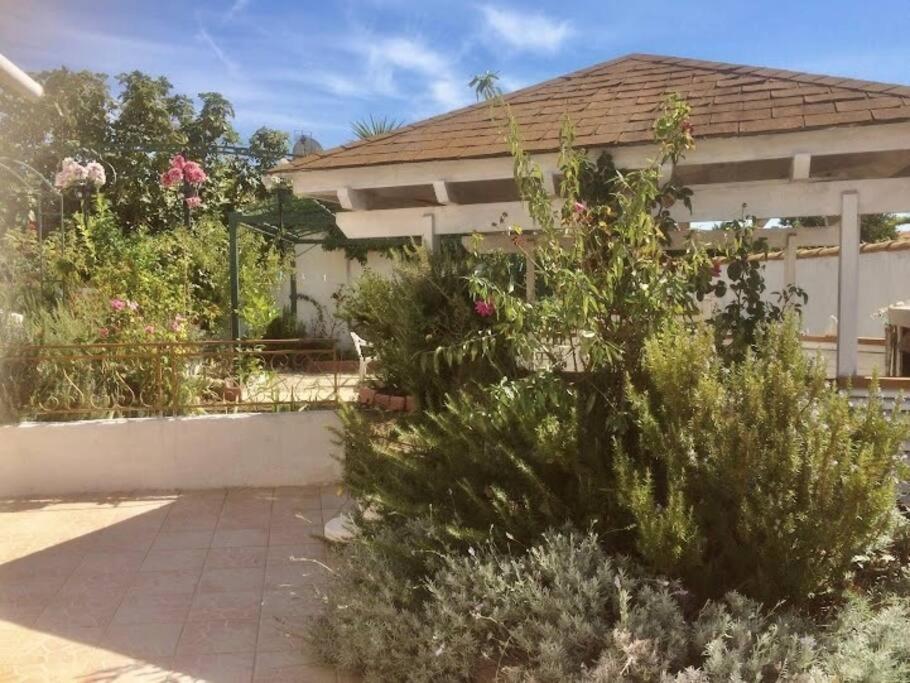 Superbe Appartement En Residence Avec Patio Villeneuve-lès-Maguelonne Eksteriør bilde